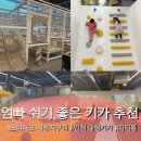 북카페노리 | 주말순삭 인천 아이랑 실내데이트 추천 서창키즈카페 대형키카 노리파크 서창지구