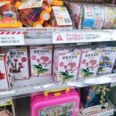 뽑기초보샵 이미지