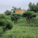 신송농장 이미지