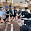 크로스핏 핏불 이미지