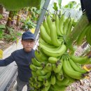 해남농장2 이미지