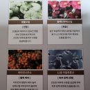 셀던 | 주름개선에 도움 되는 인셀덤난다 원빈 화장품 대구 삼덕동인 셀던 난다 후기