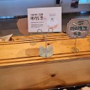 신아밧데리 | 6월 일상 : 먹부림과 손놀림