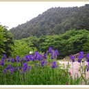 가평하늘정원 이미지