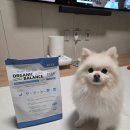 오가닉밸런스 | 포메라니안 눈물자국 사료 추천? 하루올데이 오가닉 밸런스 EYES 급여 후기 (장단점 솔직리뷰)!!