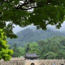 청화연식 | 문경stx리조트 수영장 내부식당 아기랑 4인가족 1박2일 숙박 후기