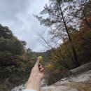 응봉농장 이미지