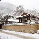 백양사진입로 이미지