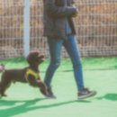 태봉모텔펜션 이미지