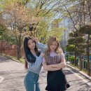 다은 이미지