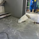 상승도장 이미지