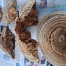 검성로-12 이미지