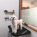 조이이발관 네이버블로그