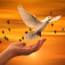 계림고등학교 이미지