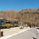 솔향기둥지 이미지