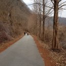 좌포교 Daum카페