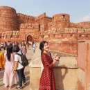 디와니암 | 인도여행 : 타지마할을 애타게 바라보는 곳, 아그라포트 (Agra Fort)