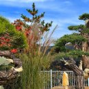 명품펜션갤러리 이미지