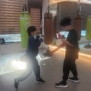 복싱그자체 이미지