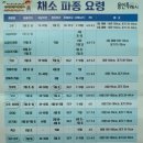 씨돌농장 네이버블로그