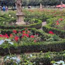 이민경 행정사 사무소 이미지