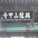 큰골사슴 이미지