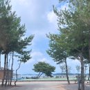 서산-대산-호스릴-12 | 서산 | 다온글램핑_ 다온 패밀리존후기, 수영장과 오션뷰 갯벌체험가능