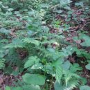 십년농장 이미지