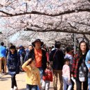 창원대로 이미지