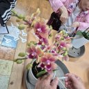 군산시정신건강복지센터 이미지