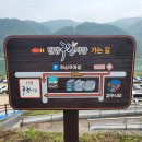 단양 가족여행 관광지 가볼만한곳 구경시장 맛집 단빵제빵소 원주닭집 찰보리흑마늘빵 솔직후기 내돈내산