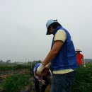 송수농장 이미지