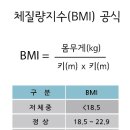 인생경험시리즈 제86탄(건강 유지하면서 강력하고 완벽한 내장 지방 제거 방법) 이미지