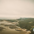 BOHENA(보헤나) 네이버블로그