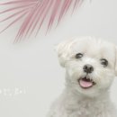 러블리스튜디오 - 서구 계룡로 587 | 러블리스튜디오