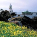 노스빌골프 이미지