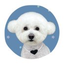 하얀이언니네 이미지