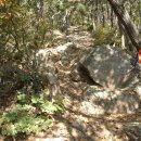 진덕사입구 이미지