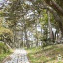 4색여행 이미지