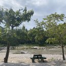 장천마을캠핑장 | 강릉 소금강 장천마을관리휴양지 캠핑장 후기