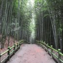 서시천자전거길2 이미지