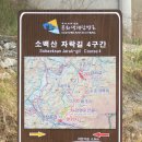 [12월정모] 소백산자락길 4구간 (당동~마조~수촌~금곡~기촌~단양읍) 15.5 km 이미지