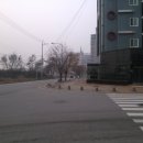 안중터미널 이미지