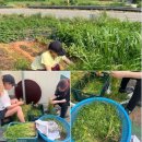 광주농장2 이미지