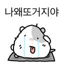 델러컷