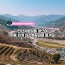 화개십리벚꽃길 이미지