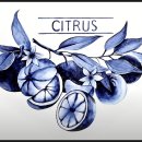 홈 스케치 (기초) 이미지