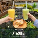 지오아라 | [제주 서귀포] 산방산 뷰 맛집 서귀포 카페 추천 &#39;지오아라&#39; 후기