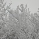 오류5길 이미지