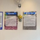 개금칼국수 네이버블로그